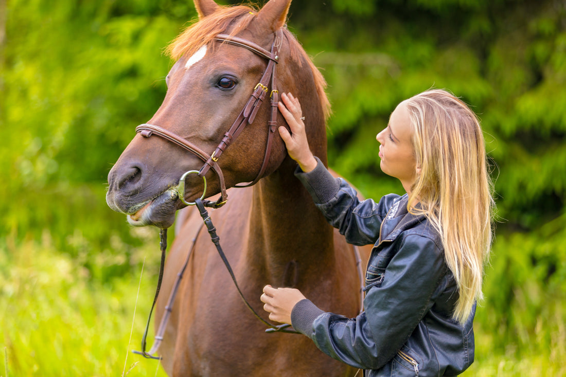 Choosing the Right Bit for Your Horse: A Complete Guide