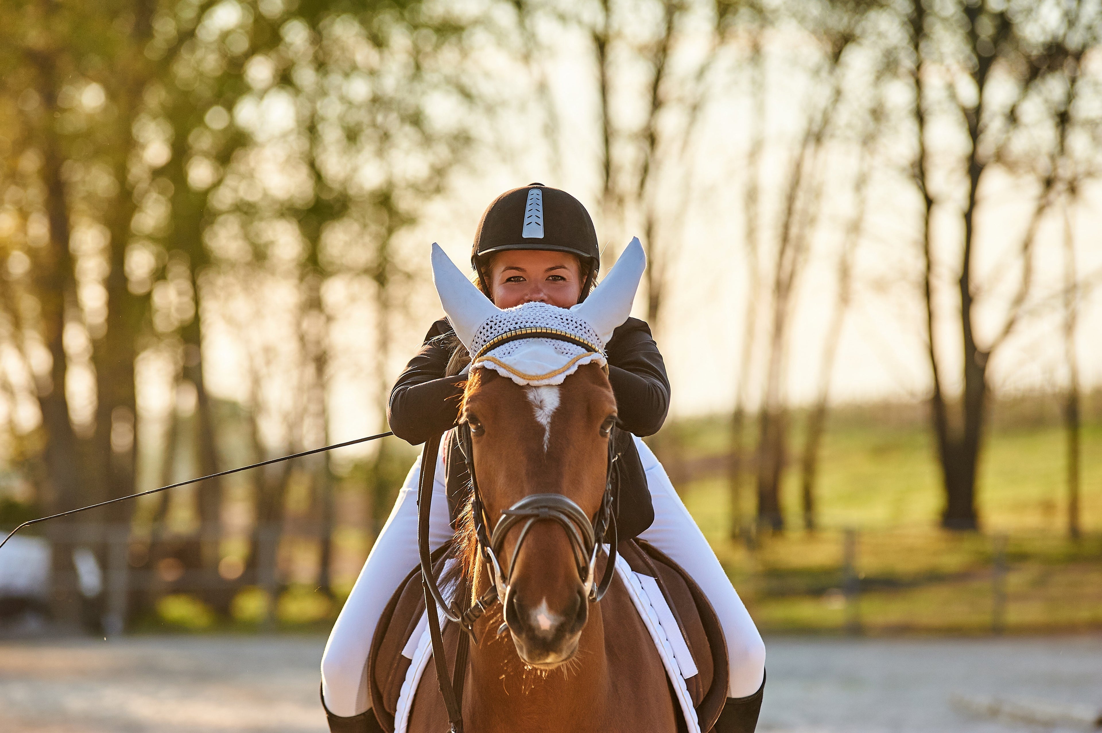 Understanding Different Riding Disciplines: Which is Right for You?