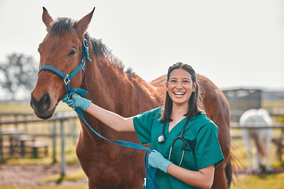 The Baseline of Health: Understanding Your Horse's Vital Signs