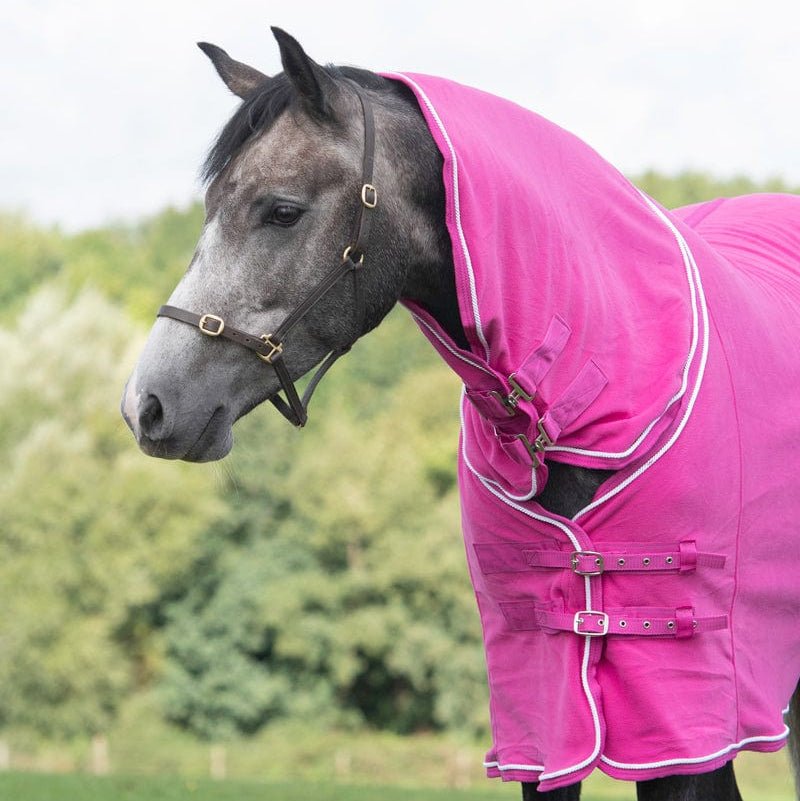 How to Measure Your Horse for a Rug: Complete Fitting Guide