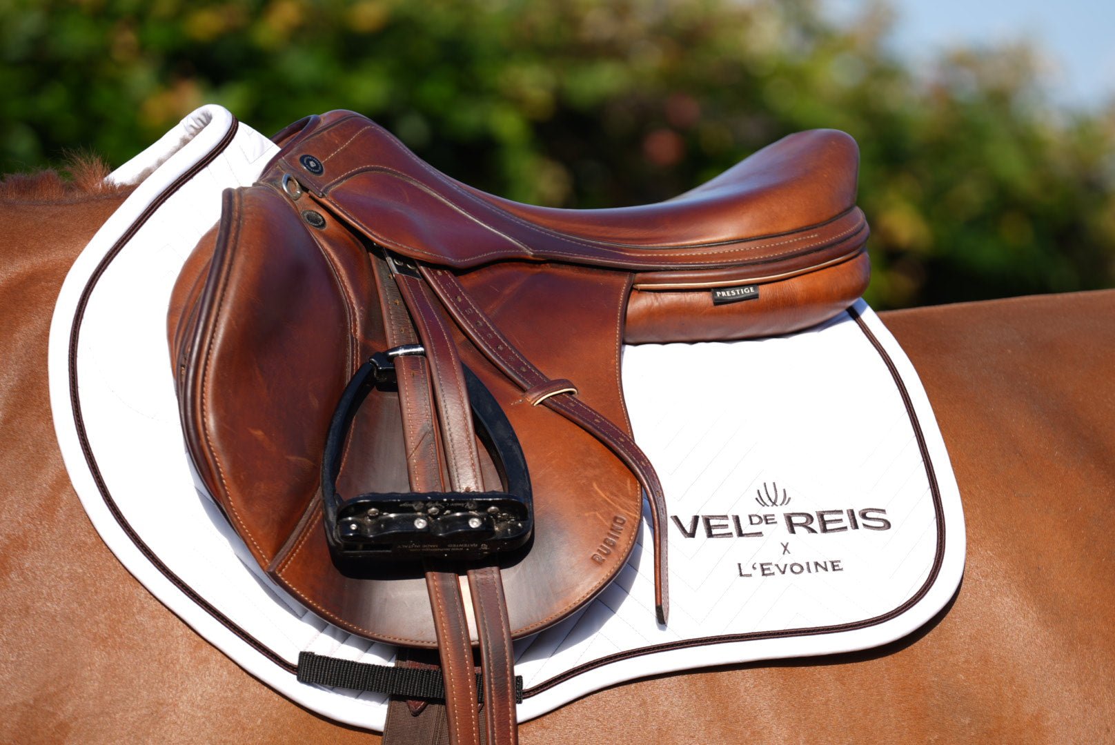 The Perfect Fit: How to Measure Your Horse for a Saddle Pad