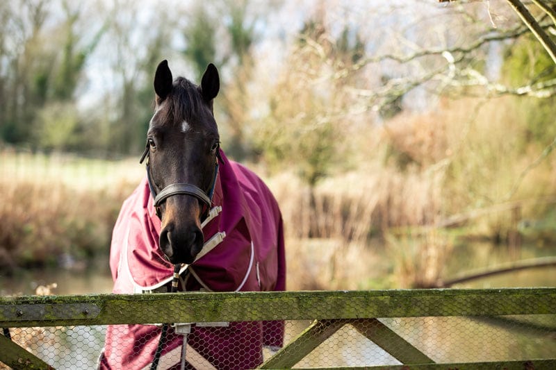 0g Burgundy Detachable Neck Turnout Rug - VALEQ