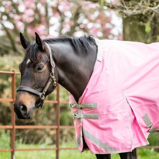 0g Detachable Neck Turnout Rug - Baby Pink - VALEQ