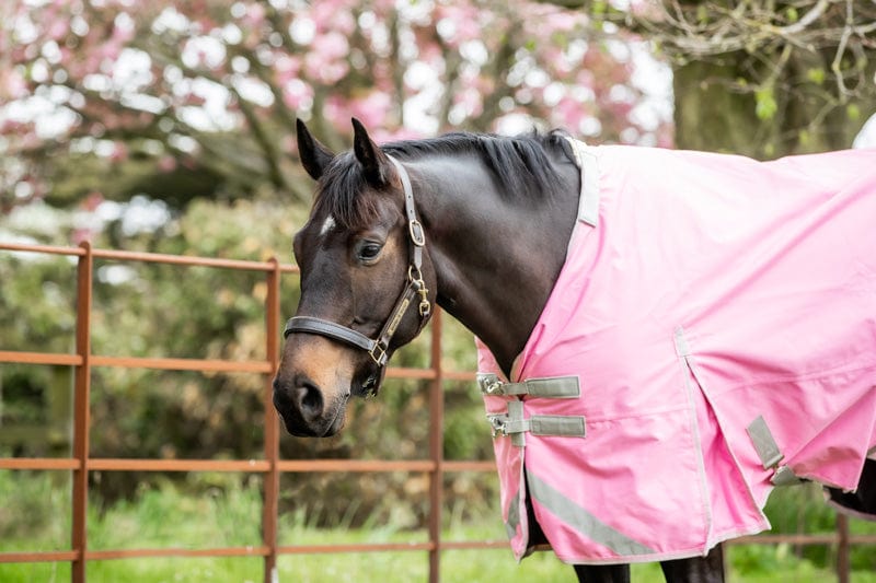 100g Detachable Neck Turnout Rug - Baby Pink - VALEQ