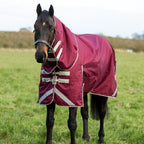 100g Detachable Neck Turnout Rug - Burgundy - VALEQ