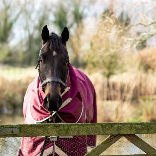 100g Detachable Neck Turnout Rug - Burgundy - VALEQ