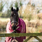 100g Detachable Neck Turnout Rug - Burgundy - VALEQ