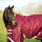 100g Detachable Neck Turnout Rug - Burgundy - VALEQ