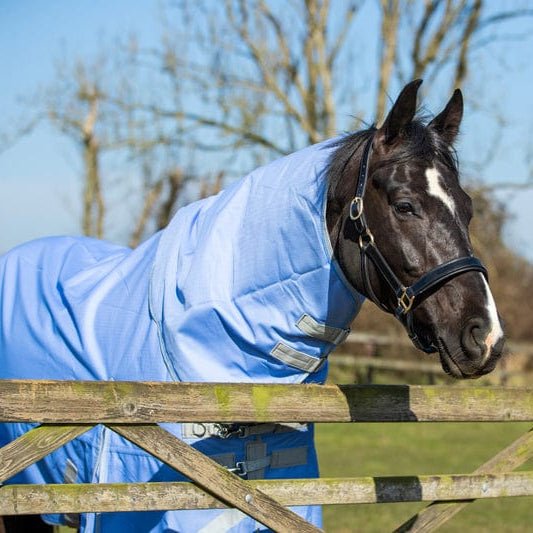 100g Detachable Neck Turnout Rug - Cornflower - VALEQ