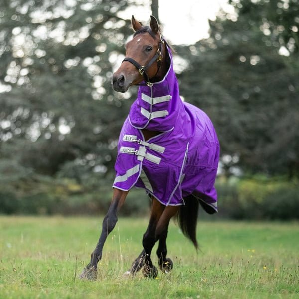 100g FIXED Neck Turnout Rug - Purple - VALEQ