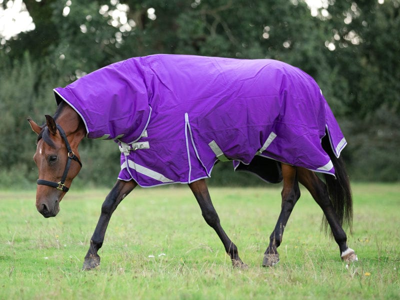 100g FIXED Neck Turnout Rug - Purple - VALEQ
