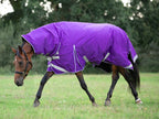 100g FIXED Neck Turnout Rug - Purple - VALEQ