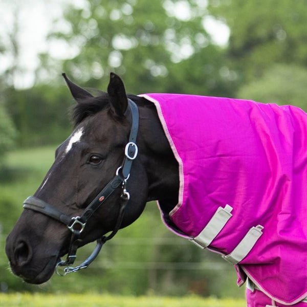 100g Mulberry Turnout Rug Neck Cover - VALEQ