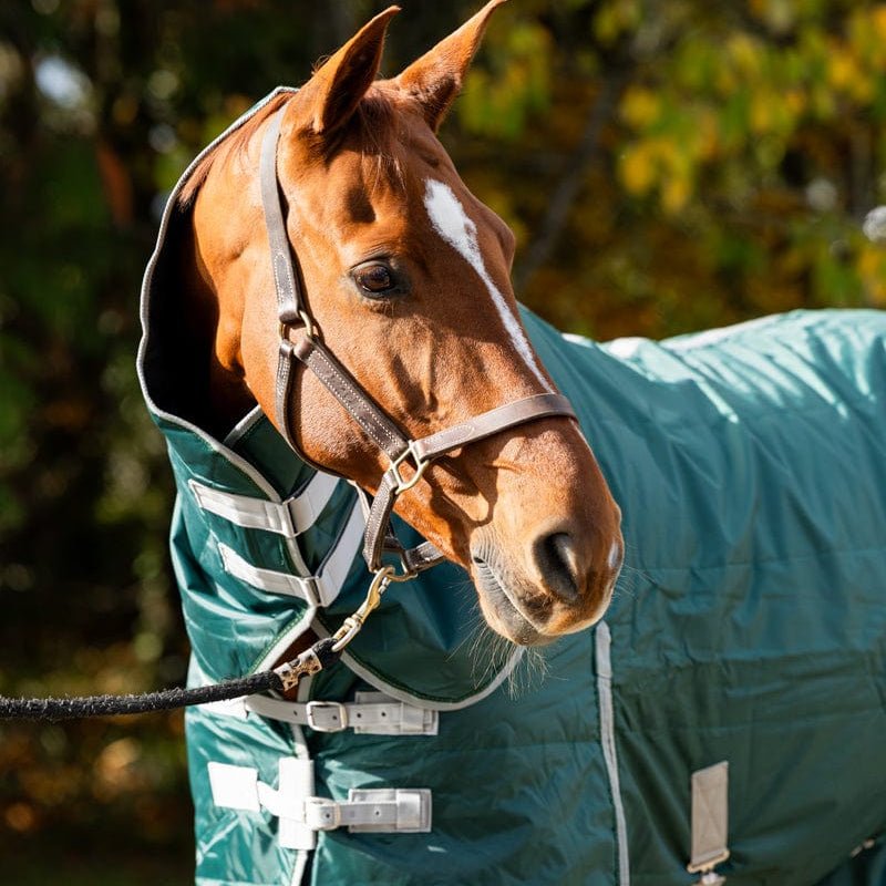 100g Stable Rug With Detachable Neck - Hunter Green - VALEQ