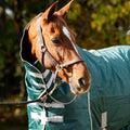100g Stable Rug With Detachable Neck - Hunter Green - VALEQ