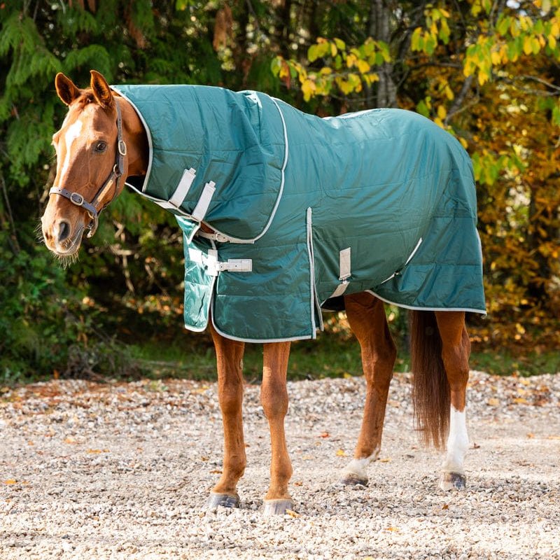 100g Stable Rug With Detachable Neck - Hunter Green - VALEQ