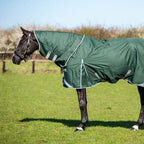 200g Detachable Neck Turnout Rug - Hunter Green - VALEQ