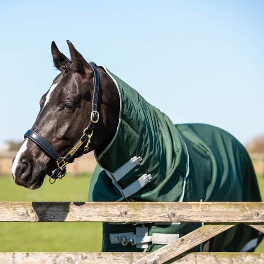 300g Detachable Neck Turnout Rug - Hunter Green - VALEQ