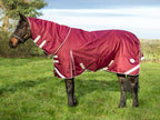 50g Detachable Neck Turnout Rug - Burgundy - VALEQ