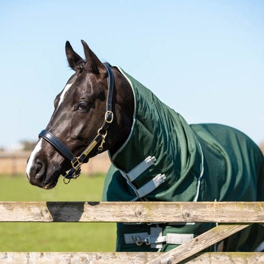 50g Detachable Neck Turnout Rug - Hunter Green - VALEQ