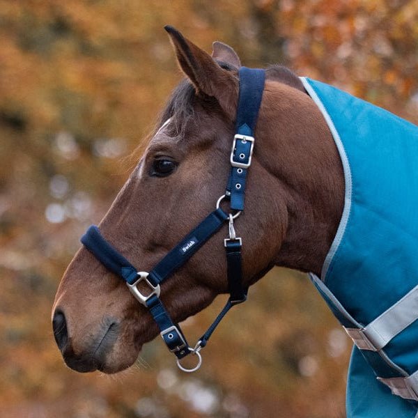 Fleece Padded Head Collar - Navy - VALEQ