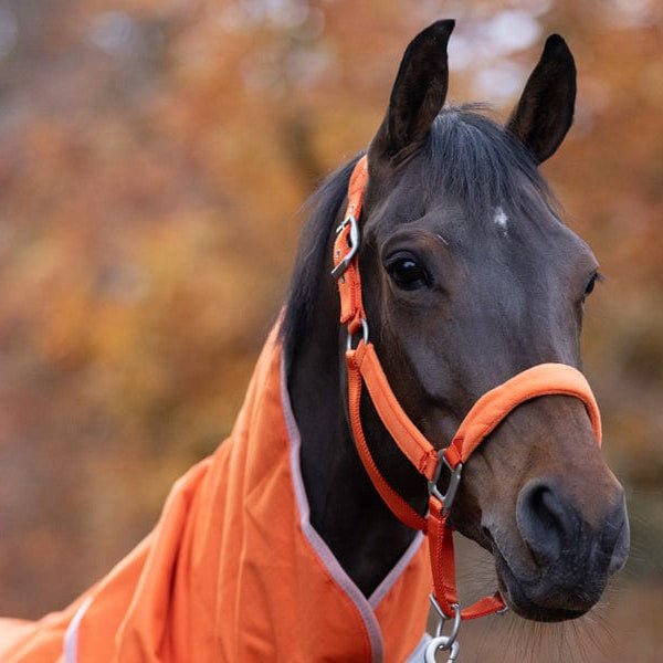 Fleece Padded Head Collar - Orange - VALEQ