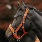 Fleece Padded Head Collar - Orange - VALEQ