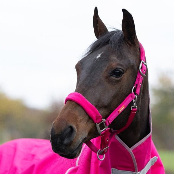 Fleece Padded Head Collar - Pink - VALEQ