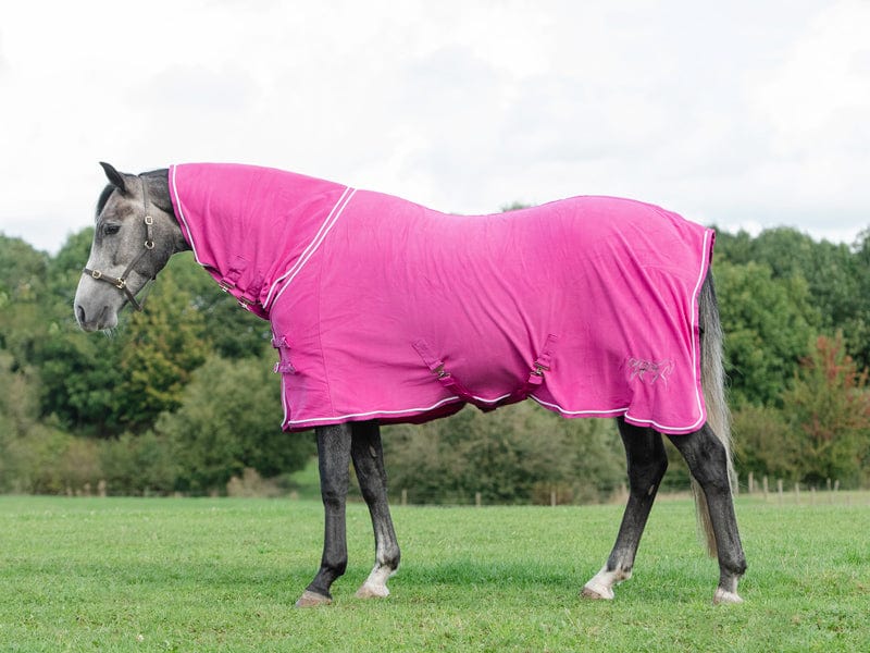 Fleece Rug With Neck Cover - Berry - VALEQ