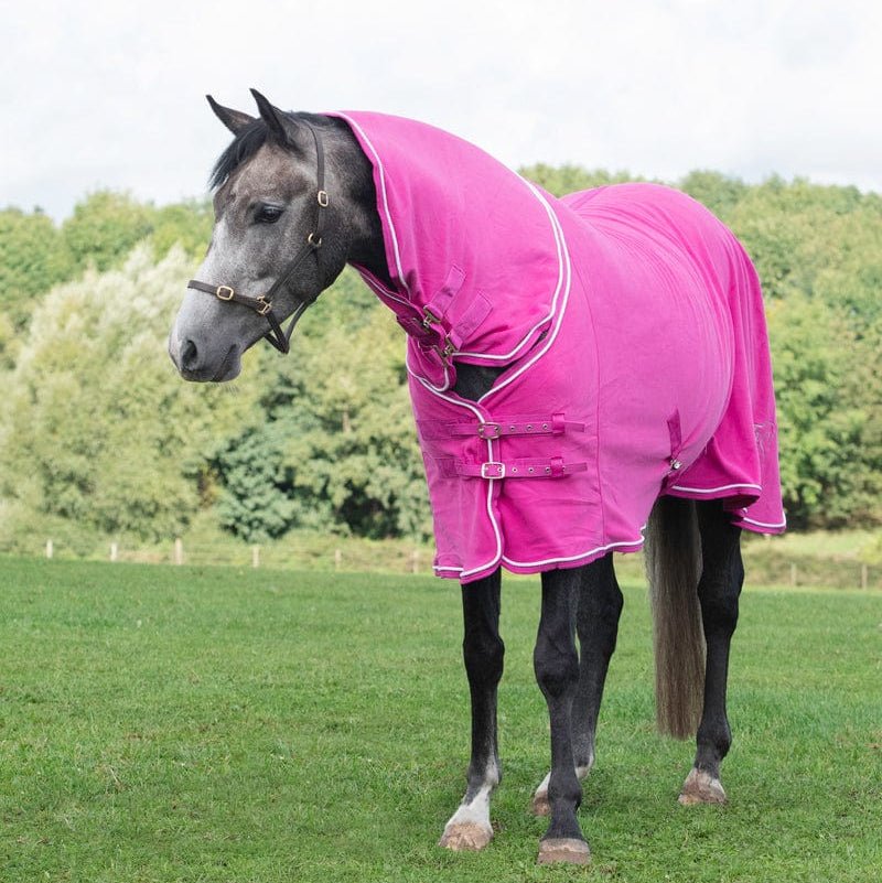 Fleece Rug With Neck Cover - Berry - VALEQ