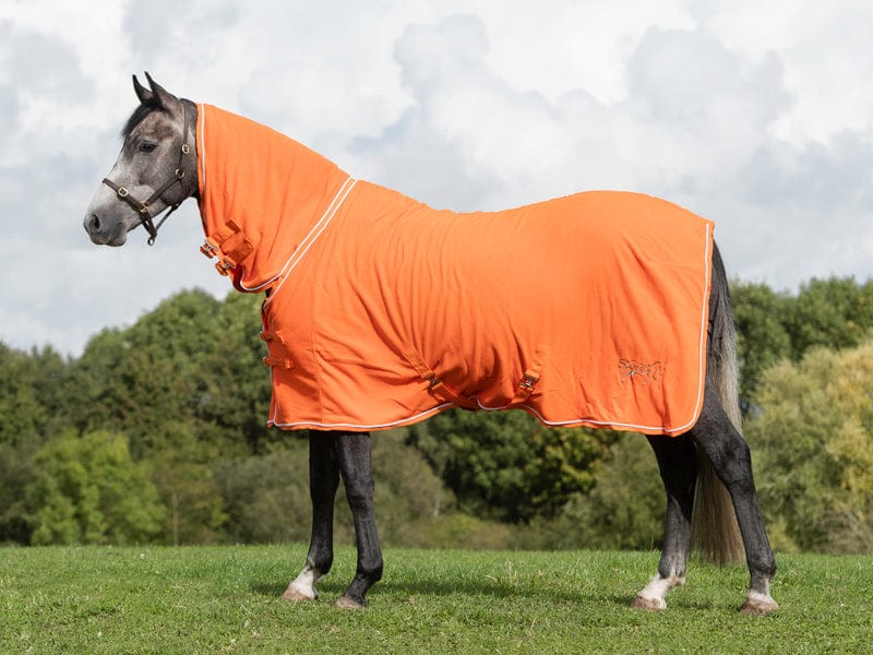 Fleece Rug With Neck Cover - Orange - VALEQ
