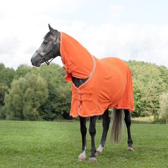Fleece Rug With Neck Cover - Orange - VALEQ