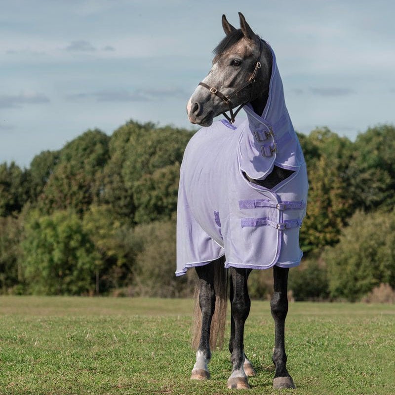Fleece Rug With Neck Cover - Violet - VALEQ