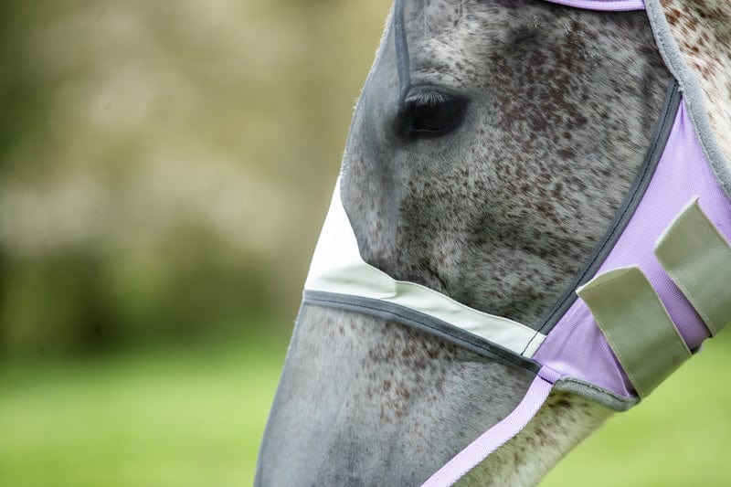 Horse Fly Mask With Nose - Violet - VALEQ