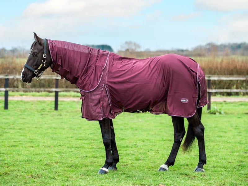 Mesh Fly Rug - Burgundy - VALEQ