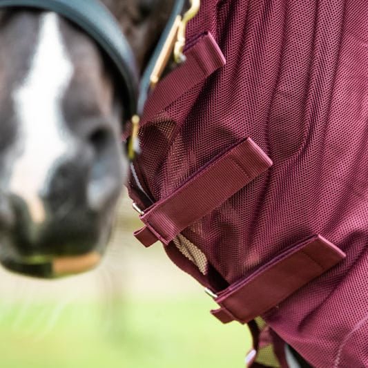 Mesh Fly Rug - Burgundy - VALEQ