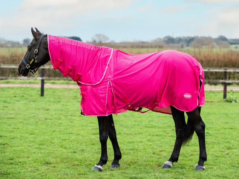 Mesh Fly Rug - Pink - VALEQ