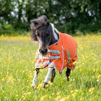 MINI 0g Turnout Rug - Orange - VALEQ