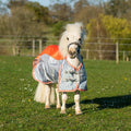 MINI Fly Turnout Combination Rug - Orange/Grey - VALEQ