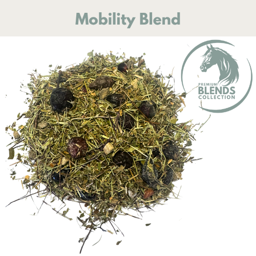 Mobility Blend for Horses Joint Support Supplement