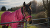 Pink Head Collar Video